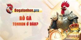 ảnh chụp màn hình xem da ga bo tonhon
