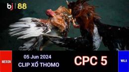 ảnh chụp màn hình xem đá gà thomo c4