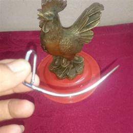 ban cua ga da tphcm