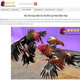 bat da ga can tho