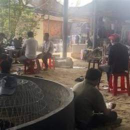 bắt đá gà ở quảng ngãi