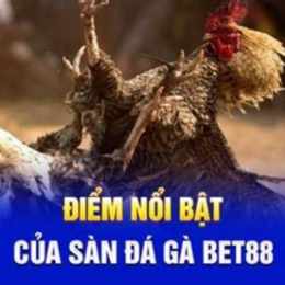 bet đá gà