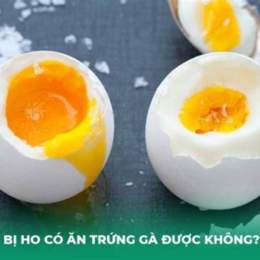 bị ho ăn da gà được không