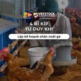 bí kíp nuôi gà đá