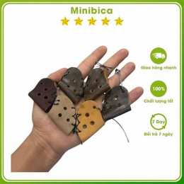 bịt mỏ gà đá