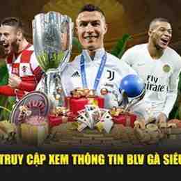 bóng đá trực tiếp blv gà siêu phệ