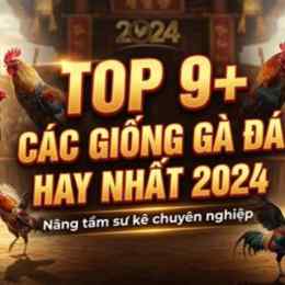 các giống gà đá mỹ