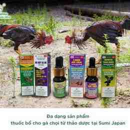 các loại thuốc gà đá