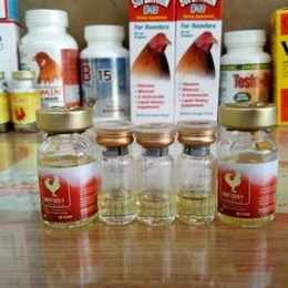 cách tăng lực cho gà đá