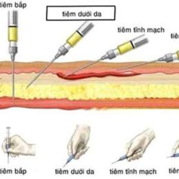 cách tiêm dưới da cho gà
