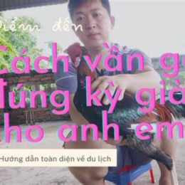 cách vần gà đá