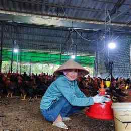 cần tuyển người nuôi gà đá