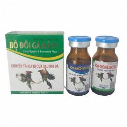 cặp gà sinh đôi đá hôm nay