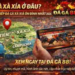 casino xà xía đá gà