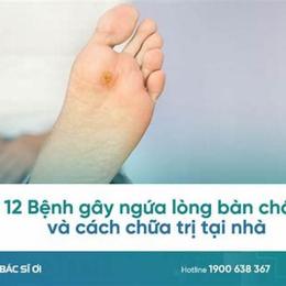 chân bị nổi hột như da gà
