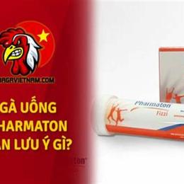 cho gà uống pharmaton trước khi đá