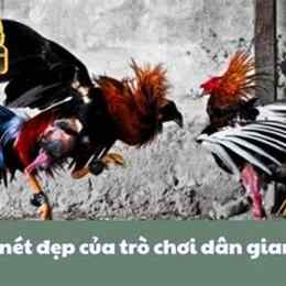 chơi đá gà là gì