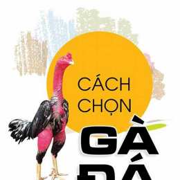 chon ga da