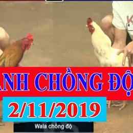 chồng độ đá gà là gì