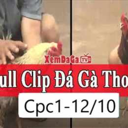 đá gà 12 12 c3