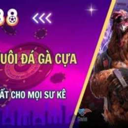 đá gà 17 tháng 6