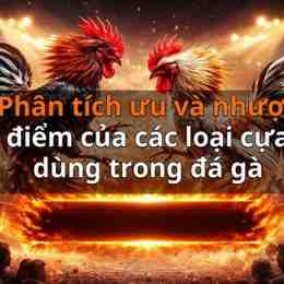 đá gà 2018