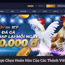 đá gà 24 tỷ