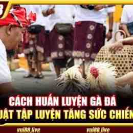 đá gà 29 tháng 6
