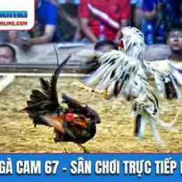 đa ga 567