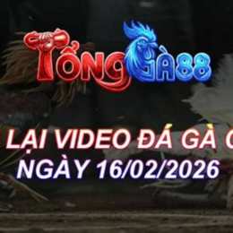 đá gà 67a com
