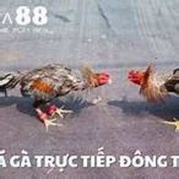 da ga 68 truc tiep