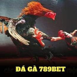 da ga 789 net