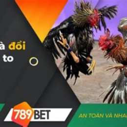 đá gà 789bet https:z789bet.com