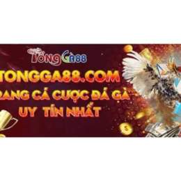 đá gà 88 27 5