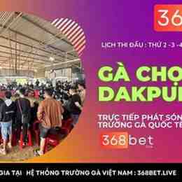đá gà 88 c1 hôm nay