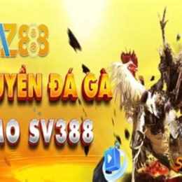 đá gà 888 c3