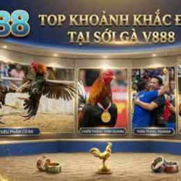 đá gà 888 hiện đang mở