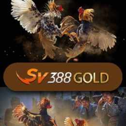 đá gà 88c .com