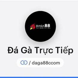 đá gà 88e.com