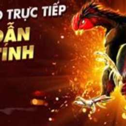 da ga 999 moi nhat 2019