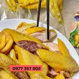 da gà bán ở đâu