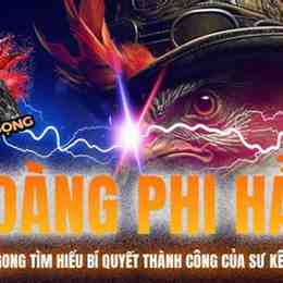 da ga bao sting voi hoang phi hai
