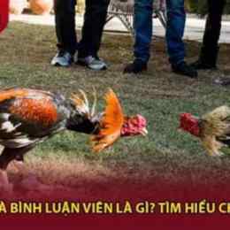 đa ga binh luận viên
