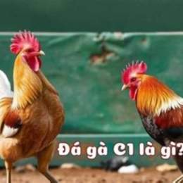 da ga c1 ngay 5 4