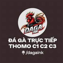 đá gà c2 long thomo