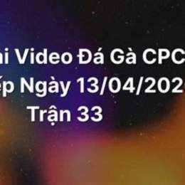 đá gà c2 ngày 30 tháng 3