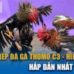 đá gà c3 ngày 12/12