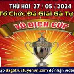 đá gà c3 ngày 27/5