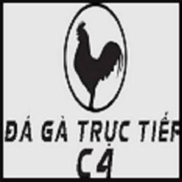 đá gà c4 12 6