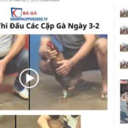 da ga cam c3